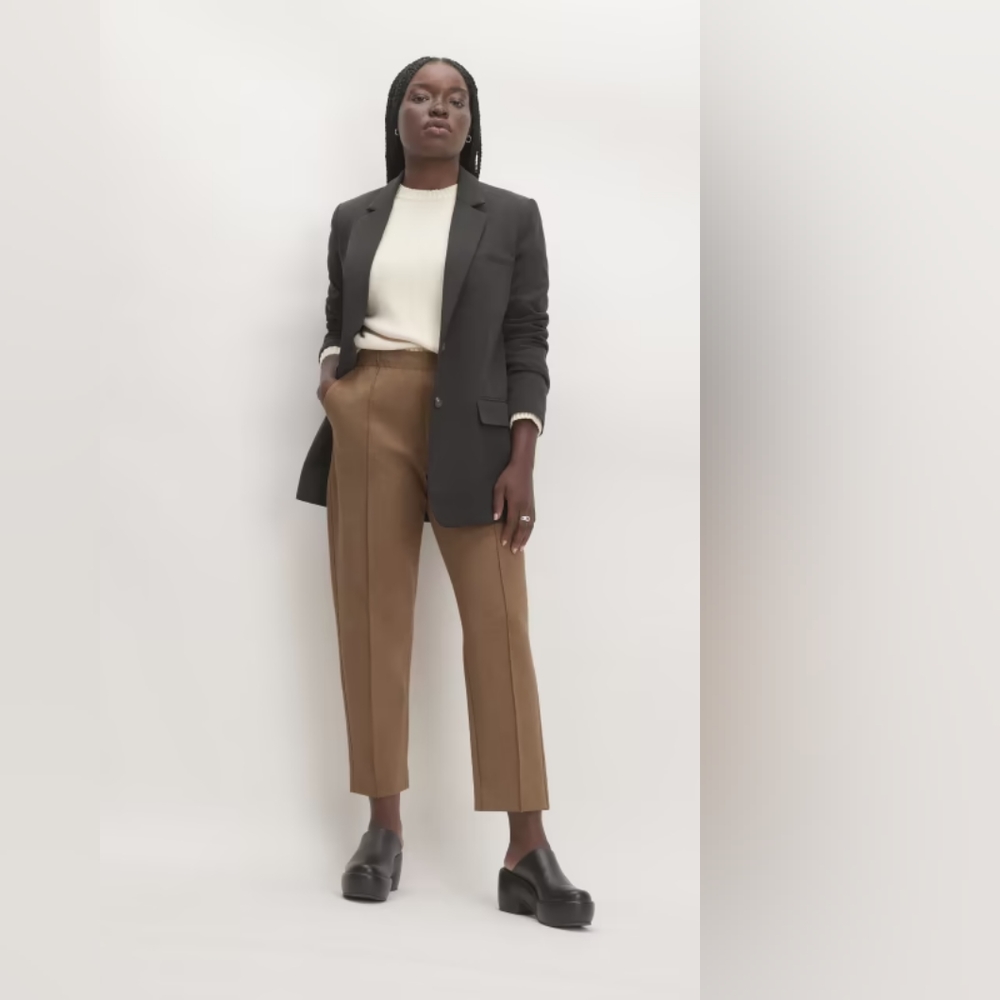 Everlane The Dream Pant Pull On Casual Athleisure Tapered Pant